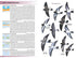 Field Guide to Birds of Greater Southern Africa - Barnes, K. ym 2024